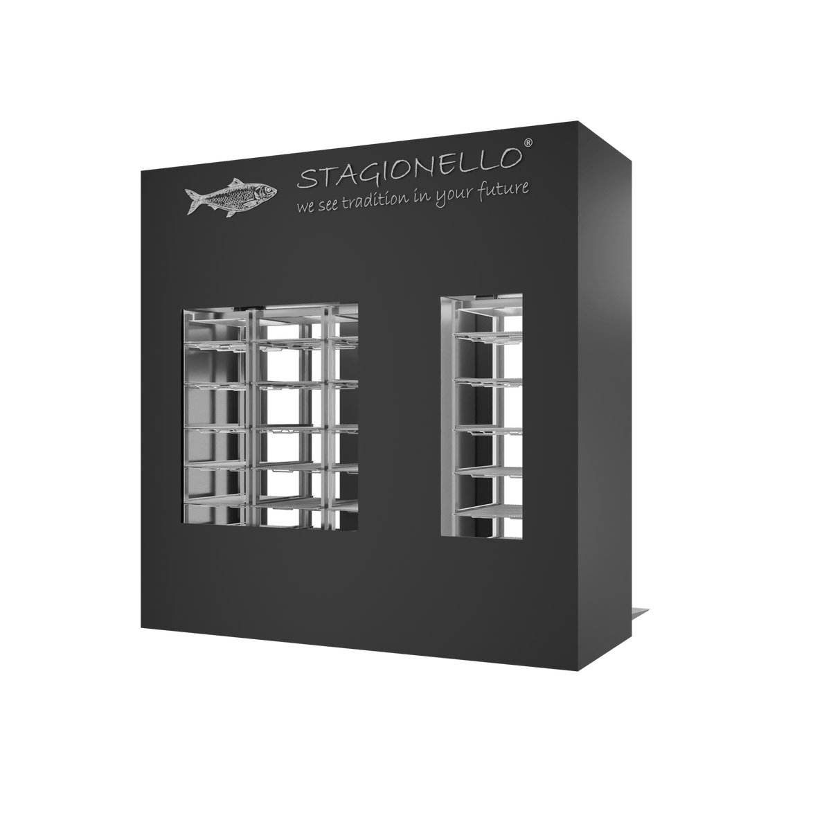 Stagionello® Fish Curing Device 100/300 Kg Walk-in 2 GLASSES image 1